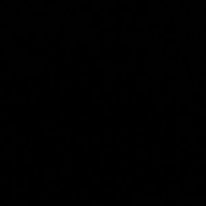 RESERVED DO NOT PURCHASE Burberry Metallic Purse